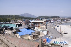 네이버에서 기장군으로 검색하니까 - 도시 갤러리