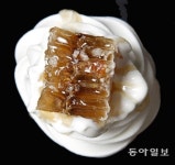 [Dining]봄바람에 살살 녹는다 : 2016년 제20회 국회의원 선거