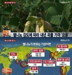 엘니뇨 이어 라니냐 현상 뒤따를 전망… 농산물 피해 우려 : 뉴스 : 동아닷컴 엘니뇨 이어 라니냐 현상 뒤따를 전망… 농산물 피해 우려