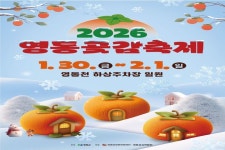 《편안한 28인승 우등 버스》 ◈단 3회◈ 신년새해! 영동곶감해가 떴습니다~  영동곶감축제+과일나라 테마공원+금산 인삼관 당일