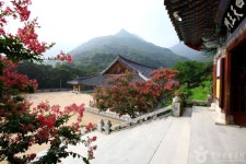 롯데관광::명품여행 [경남관광]  자연과 역사가 어우러진 창녕 밀양 2일