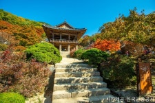 롯데관광::명품여행 [경북시티투어]  붉은대게먹고, 울진케이블카타고, 백암온천 즐기기 2일