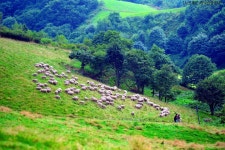 롯데관광::명품여행 부산[TW] 항공+호텔 (에어텔) ☞ 강원도 3일