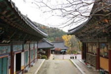 롯데관광::명품여행 [광주동구투어]  문화예술의 고장, 광주동구 당일