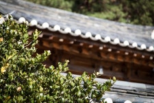 롯데관광::명품여행 [경북시티투어]  붉은대게먹고, 울진케이블카타고, 백암온천 즐기기 2일
