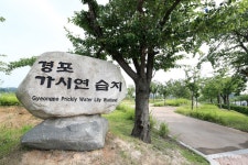 롯데관광::명품여행 [여름나기] 여름바다, 경포대 + 커피한잔의 여유, 안목항 당일