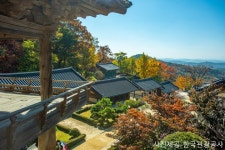 롯데관광::명품여행 [경북시티투어]  붉은대게먹고, 울진케이블카타고, 백암온천 즐기기 2일