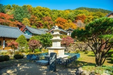 롯데관광::명품여행 [경북시티투어]  붉은대게먹고, 울진케이블카타고, 백암온천 즐기기 2일