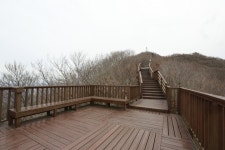 롯데관광::명품여행 [KTX-원네스리조트] 보길도 & 청산도 & 땅끝마을ㆍ두륜산 2일