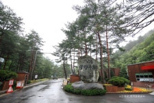 롯데관광::명품여행 [봄길여행]  동해안 최고 비경! 강릉 정동진 바다부채길 당일