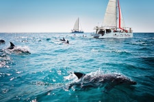 롯데관광::명품여행 제주 바다와 하늘사이, 요트투어!  [샹그릴라요트 / 퍼블릭투어]