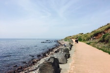 롯데관광::명품여행 ★확정★[4/18~5/12 목.토.일 한정출발] 청보리의 향연♪ 가고픈 가파도와 산호섬 우도 3일