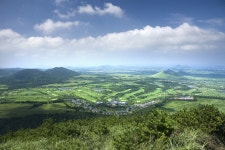 롯데관광::명품여행 [제주골프] 타미우스리조트+더클래식CC 18홀+타미우스CC 36홀(2박3일) 