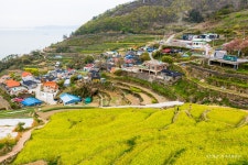 롯데관광::명품여행 [경남시티투어] 남해 다랭이마을, 독일마을과 통영 한려수도 2일