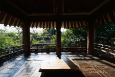 롯데관광::명품여행 [편안한 28인승 우등버스 봄꽃여행]  환한 노랑꽃 산수유의 봄날 풍경! 구례 당일