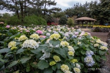 롯데관광::명품여행 가장 제주다운 향토공원  [휴애리자연생활공원]