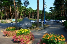 롯데관광::명품여행 [일일투어-태안편] 안면도 자연휴양림과 꽃지해변 당일