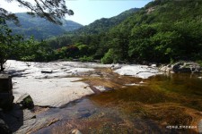 롯데관광::명품여행 [여름나기]  시원한 동해바다 + 무릉계곡 + 묵호어시장 당일