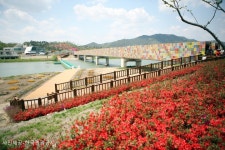 롯데관광::명품여행 《우등28인승 버스로 편안하게 가요!》 세계적인 정원이 한눈에! 순천 국제정원박람회 당일