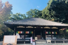롯데관광::명품여행 [소도시 온천여행♨/2명부터출발] 마츠야마 자유여행 3일 ▶온천호텔1박♨+조식포함+도고온천♨+관광지 할인쿠폰제공!