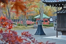 롯데관광::명품여행  -(주)롯데관광