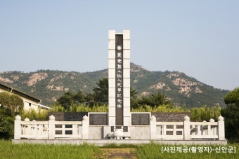 롯데관광::명품여행 회원가입시 사전할인-2만원추석연휴 [BUS-6도] 홍도/흑산도/비금*도초/암태도/압해도 3일