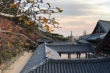 롯데관광::명품여행  -(주)롯데관광