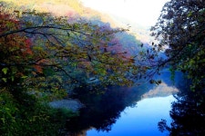 롯데관광::명품여행 [전북시티투어] 선운사 동백꽃! 풍천장어&석정온천 2일