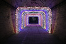 롯데관광::명품여행 [T연합] <지원특가> 문경 선유동천 나들길(계곡), 오미자테마터널, 문경새재 당일