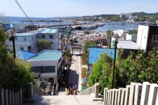 롯데관광::명품여행 [연합] 비행기 타고가요~ 경주+포항(1박2일)  왕복항공(김포-포항경주공항 왕복)