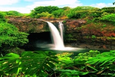 롯데관광::명품여행 [모험의섬 