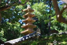 롯데관광::명품여행 [경남관광] 산청 대원사 + 동의보감촌 힐링코스 당일