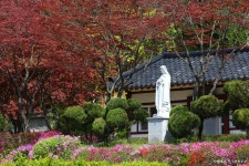 롯데관광::명품여행 [일일투어-제천편] 청풍호반 케이블카와 제천 10경 트레킹 당일