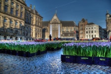 롯데관광::명품여행 ★출발확정★[짧지만 강렬하게] 베네룩스&파리 7일 #몽생미셸#라발레 빌리지 자유쇼핑&자유시간