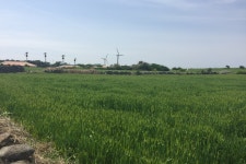 롯데관광::명품여행 [목,토,일출발! 롯데관광단독] 가고픈 가파도와 산호섬 우도 3일