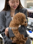 셀럽들의 선택, DINT - DINT CELEB 송해나 J2396 & SK2820 TP1957 셀럽들의 선택, DINT