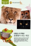 디라이브러리 야행성 VS 주행성 동물들이 보는 세상 | d라이브러리