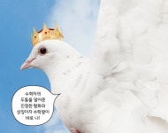 디라이브러리 후보6. 수학자 마음 사로잡은 비둘기집 | d라이브러리