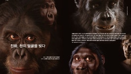 디라이브러리 [과학뉴스] 물에 햇빛 쪼이니 수소가 펑펑 | d라이브러리