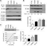 JCI -B56δ-related protein phosphatase 2A dysfunction identified in patients with intellectual disability