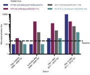 JCI -Focused antibody response to influenza linked to antigenic drift