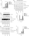 JCI -Uropathogenic Escherichia coli strain CFT073 disrupts NLRP3 inflammasome activation