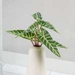  플라워가든 알로카시아 부쉬 조화