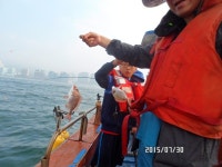 (東)동해조황 - 해~운대/체험낚시 탄탄탄...4짜 양태,참돔,전갱이~!!!^^