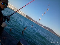 바다낚시 > 점주선장조황 > 해~운대/초보자 열기+볼락 외줄 체험..선상낚시/배낚시 도전기