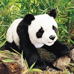 미숙아&영유아를 위한 쇼핑몰 이른둥이입니다. [폴크마니스] 팬더곰[F2364]