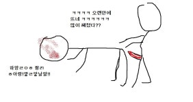파이터들의 대결.