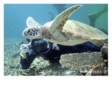 고전을 사랑합시다~