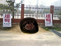 해리포터와 비밀의 세탁소 입장방법!..