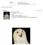 한국인이라면 우리나라 국보 7호는 알아야 하는거 아니냐